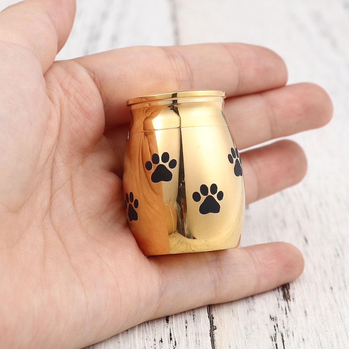 Gold Mini Sized Funeral Pets Ashes Cremation Urns for Dog Cat Keepsake Stainless Steel Warterproof Paw Pet Memorial Ash Container with Free Anavia Pouch