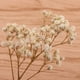 thumbnail image 3 of Hojas prensadas de Flores secas naturales Sunnimix para decoración de hogar, 3 of 8
