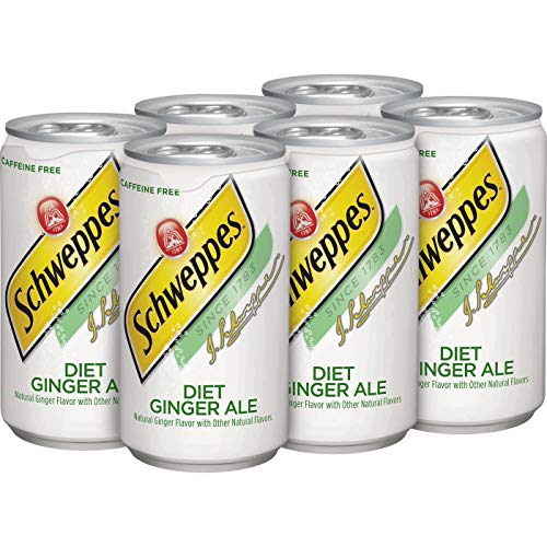Diet Ginger Ale Mini Can, 12 Oz