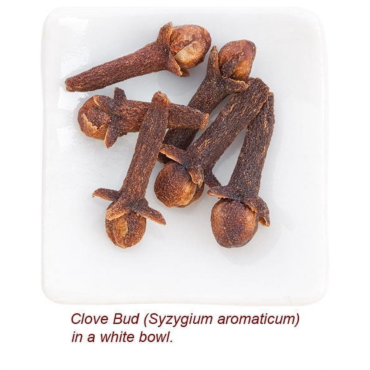 Clove Bud Organic Essential Oil 1 fl oz (30 ml) - 100% Pure and Natural by Silky Scents