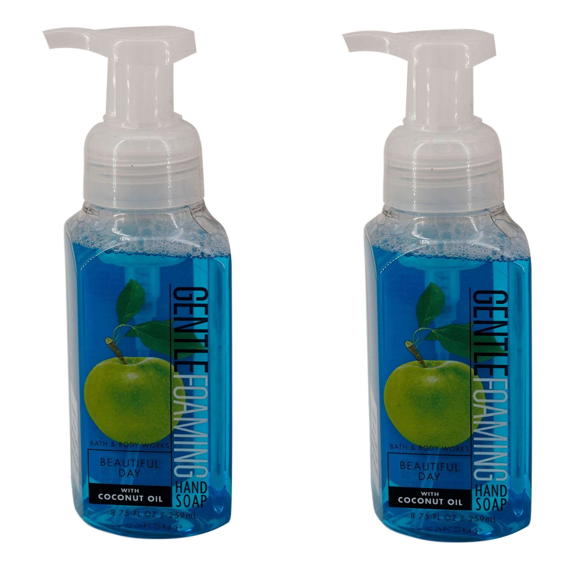 Beautiful Day Gentle Foaming Hand Soap (2 Pack, 8.75 oz each) Bath