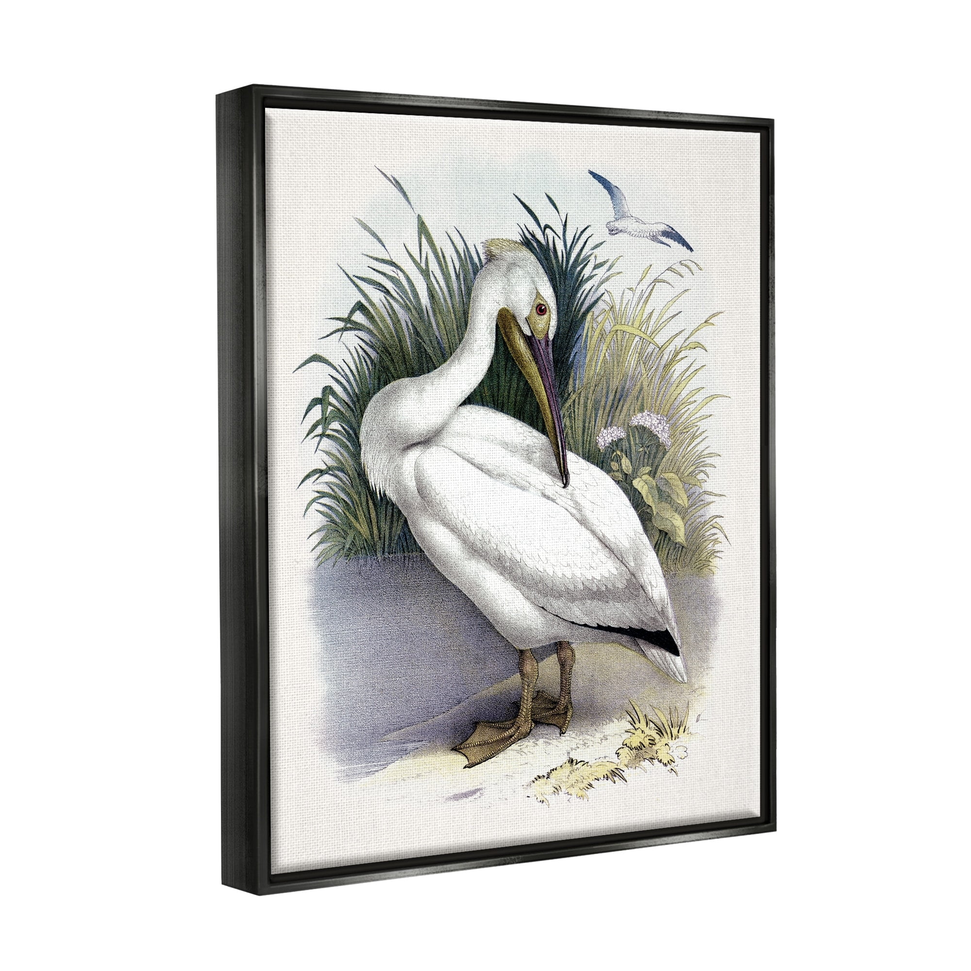 Stupell Industries White Pelican Bird Preening Grassy Riverbank Shore Painting Jet Black Floating Framed Canvas Print Wall Art, Design by Piddix