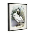 thumbnail image 2 of Stupell Industries White Pelican Bird Preening Grassy Riverbank Shore Painting Jet Black Floating Framed Canvas Print Wall Art, Design by Piddix, 2 of 5