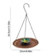 thumbnail image 3 of Comedero de hierro para pájaros, ideal para jardín o balcón | Comedero colgante para aves silvestres | Comedero resistente a la intemperie para la decoración de patios y terrazas, 3 of 7