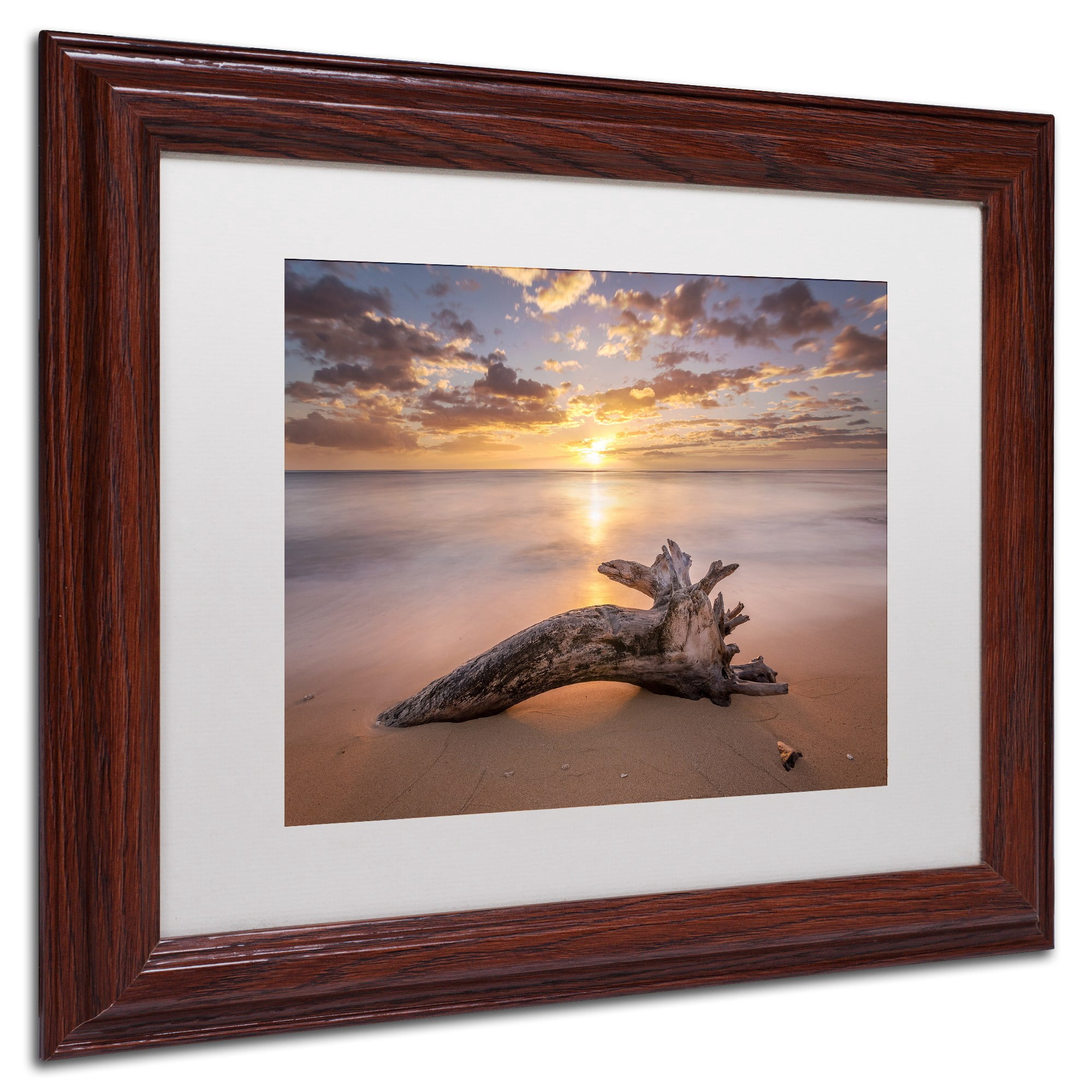 Trademark Fine Art 'Beach Tree Sunrise' Canvas Art by Pierre Leclerc, White Matte, Wood Frame