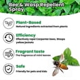 thumbnail image 2 of Wasp Spray With Natural Plant-based Peppermint Oils Bee Spray, Bee Repellent Outdoor/indoor Bee And Wasp Defense, Bee Wasp Repellent Spray, 2 of 5