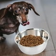 thumbnail image 6 of Stainless Steel Dog Bowl - Round Pet Feeding Dish for Cats and Dogs Versatile Pet Supplies Durable and Easy to Clean Food Bowl for and Birdbath, 6 of 8