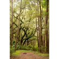 thumbnail image 3 of Mansfield, Kathy 11x14 Black Modern Framed Museum Art Print Titled - Grand Forest I, 3 of 5