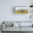 thumbnail image 3 of Beata Czyzowska Young 'Beautifully Moody' Canvas Art, 3 of 3