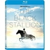 The Black Stallion (Blu-ray)
