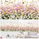 thumbnail image 3 of 2 hojas de pegatinas de pared de flores JAMW margaritas amarillas crisantemo blanco, 3 of 5