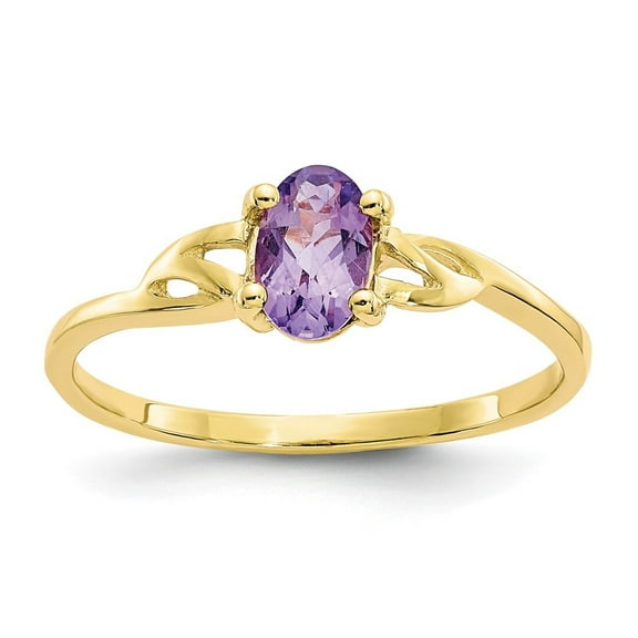 Auriga Fine Jewelry 10K Yellow Gold Polished Oval-shaped Genuine Amethyst Birthstone Ring for Women Size- 7