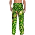 thumbnail image 3 of Picia Cactus And Succulents Mens Soft Woven Cotton Elastic Waistband Sleep Pajama Pant Lounge Sleep Pant With Pockets And Drawstring-X-Large, 3 of 9