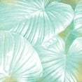 thumbnail image 2 of Kimberly, Allen 15x15 Gold Ornate Wood Framed with Double Matting Museum Art Print Titled - Tropics 1, 2 of 4