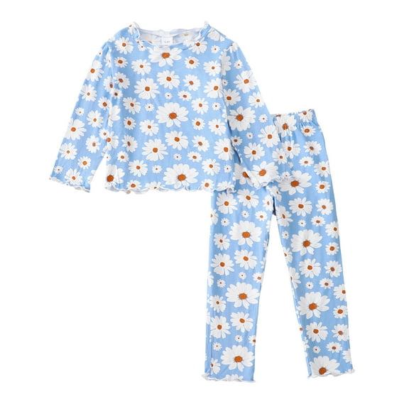2T Baby Girls Outfits 3T Girls Fall Winter Pant Sets Toddler Girls Long Sleeve Crewneck Daisy Print Floral Top Pants 2PCS Set Blue