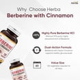thumbnail image 3 of Herba Berberine Supplement with Ceylon Cinnamon – 120 Capsules | Ultra Pure >97% | Made in Canada, 3 of 8