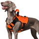 thumbnail image 1 of Arnés táctico para perros WINGOIN naranja para perros grandes XL, 1 of 6