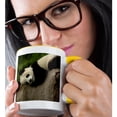 thumbnail image 2 of 3drose, Giant Panda Bears, Wolong China Conservation, China-as07 Pox0364 - Pete Oxford, 15oz Two-tone Yellow Mug, 2 of 6
