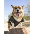 thumbnail image 5 of Pets First NFL Cleveland BrownsLicensed Mesh Jersey for Dogs and Cats - Extra Large, 5 of 6