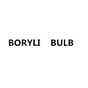 BURYLI BULB profile photo