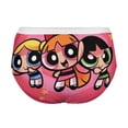 thumbnail image 5 of The Powerpuff Girls Womens Underwear Soft Breathable Brief Lace Panty Stretch Hipster Underpants Ladies Panties M, 5 of 7