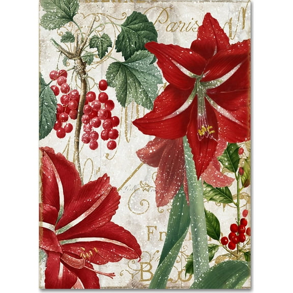 Trademark Fine Art "Amaryllis" Canvas Art by Color Bakery