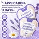 thumbnail image 2 of Mascarilla exfoliante para pies LANBENA Lavender para eliminar la piel muerta, 2 pares, 2 of 9