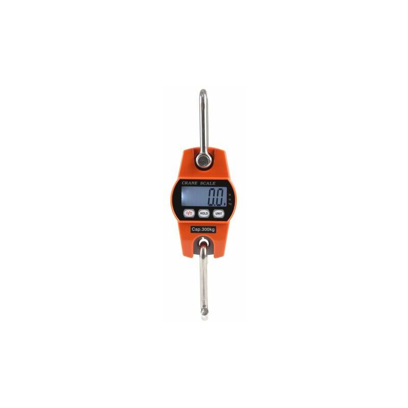 Balance électronique Suspendue LCD 300 Kg - Petite Et Portable Pour Industrie, Voyage, Bricolage