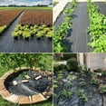 thumbnail image 3 of Weed Block Landscape Fabric Weed Barrier Control Mat Garden Ground Cover, 3 of 6