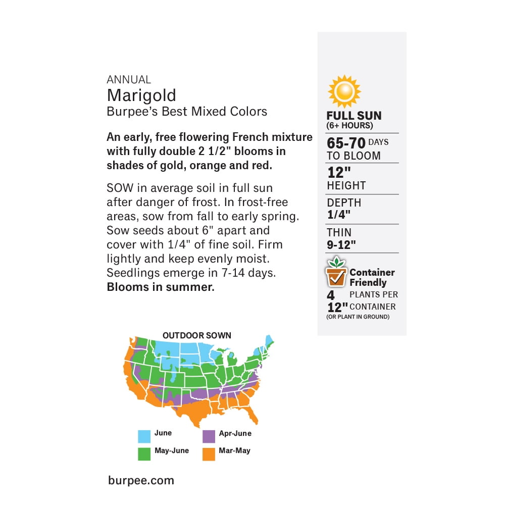 Burpee Burpee's Best Mixed Colors Marigold Flower Seed, 1-Pack