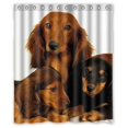 thumbnail image 1 of ABPHQTO Dachshund Perro de caza Fondo Cortina de ducha Cortina de ducha impermeable 150x180 cm, 1 of 2