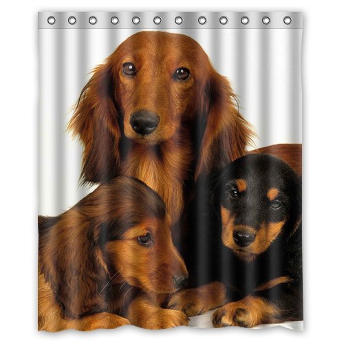 ABPHQTO Dachshund Perro de caza Fondo Cortina de ducha Cortina de ducha impermeable 150x180 cm