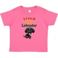 thumbnail image 3 of Inktastic Labrador Retriever Dog Black Lab Boys or Girls Baby T-Shirt, 3 of 5