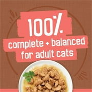 Purina Friskies Extra Chunky Gravy Variety Pack, Wet Cat Food, 5.5 oz Cans