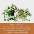 thumbnail image 6 of XKHAZA Plant Trellis for Climbing Plants, Garden Small Metal Arch Trellis for Potted Plants Indoor Outdoor Decor for Vine Ivy Flower Support, 6 of 8