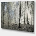 thumbnail image 2 of Design Art - Matin Sombre dans la Forêt Panorama, 2 of 3