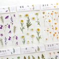 thumbnail image 4 of Journamm 12 calcomanías Transparentes De Flores De margaritas naturales De margaritas para mascotas suministros De Flores hojas De Plantas, 4 of 4