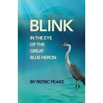 Blink in the Eye of the Great Blue Heron: A Educator's Journey of Discovery (Paperback)