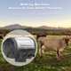 thumbnail image 2 of Pulsador universal para ordeñadora de vacas con dos salidas de plástico para ordeñadoras de vacas y equipos agrícolas., 2 of 5