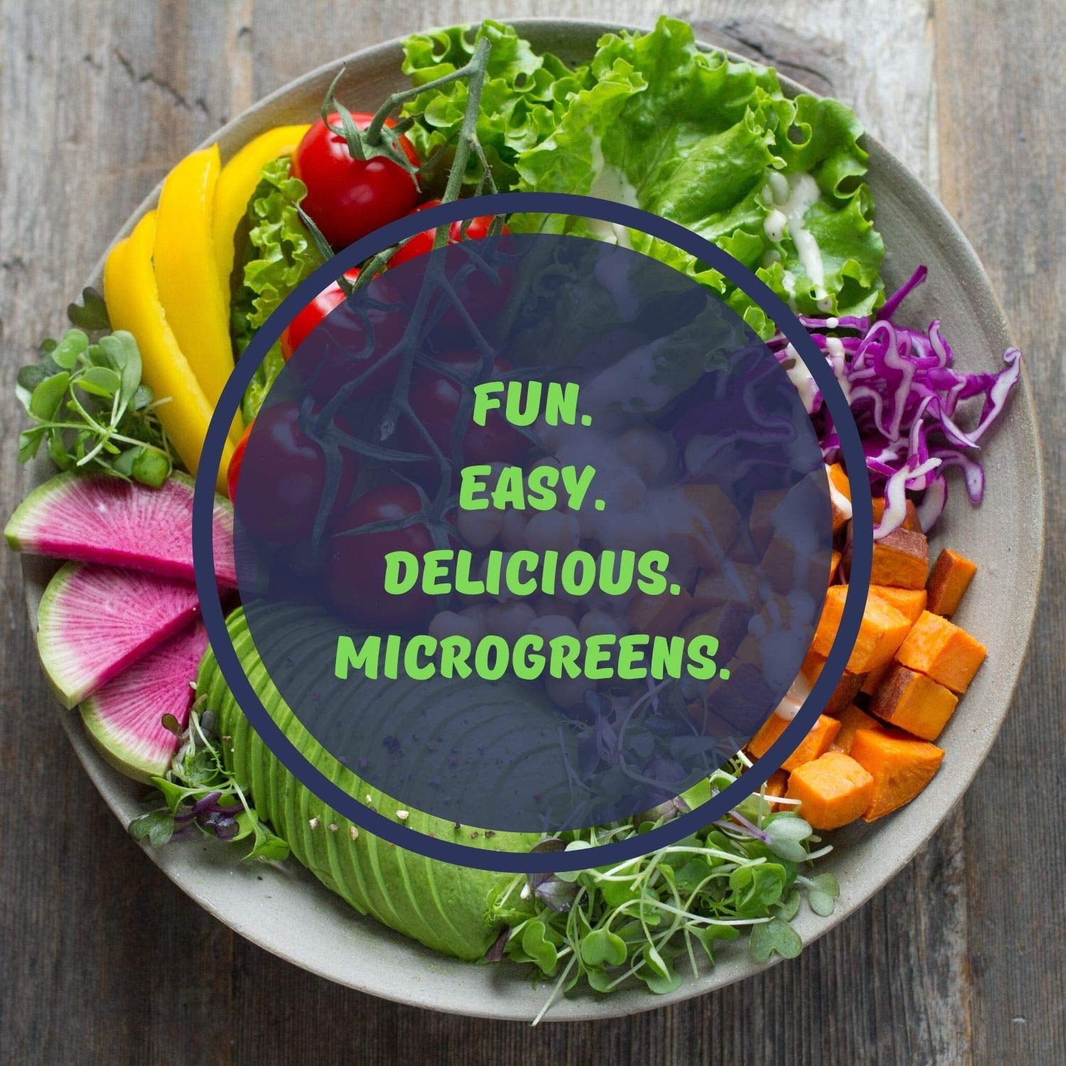 Self Watering Microgreens Kit - Soil Based - Grow Micro Greens In Soil - Easy Growing - Fun to Eat - Grow Sunflower, Speckled Pea, Rainbow Swiss Chard & Cilantro