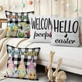thumbnail image 4 of Easter Pillow Covers 16x16 Set of 4, Gnome Eggs Throw Pillow Covers Pillowcase Black and White Buffalo Plaid Decorations Cushion Case for Home Outdoor Yard, 4 of 5