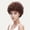 F, variant on African ladies small curly wig fluffy mixed color short hair with bangs natural and lifelike