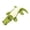 Green, variant on Pet Toys for Dogs Interactive Squeaky Teeth Cleaning Toy for Chew Toy with Noise & Ideal for Biting and Teething