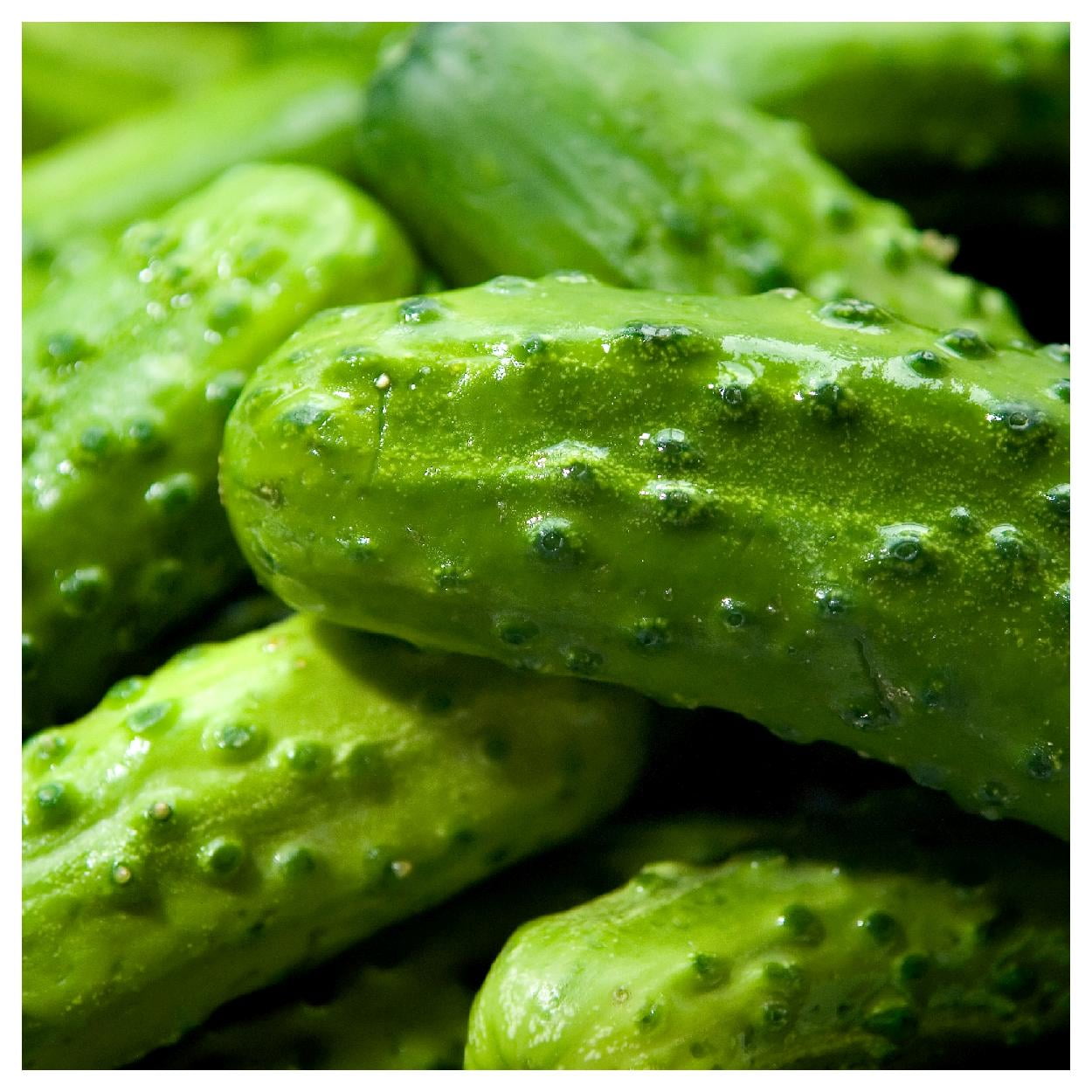 Everwilde Farms 1 oz National Pickling Cucumber Seeds Gold Vault Bulk Seed Packet