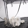thumbnail image 5 of Cat Tent Outdoor, Pet Enclosure Tent Suitable for Cats and Small Animals, Indoor Playpen Portable Exercise Tent with Carry Bag - Black - 120*63*50CM, 5 of 5