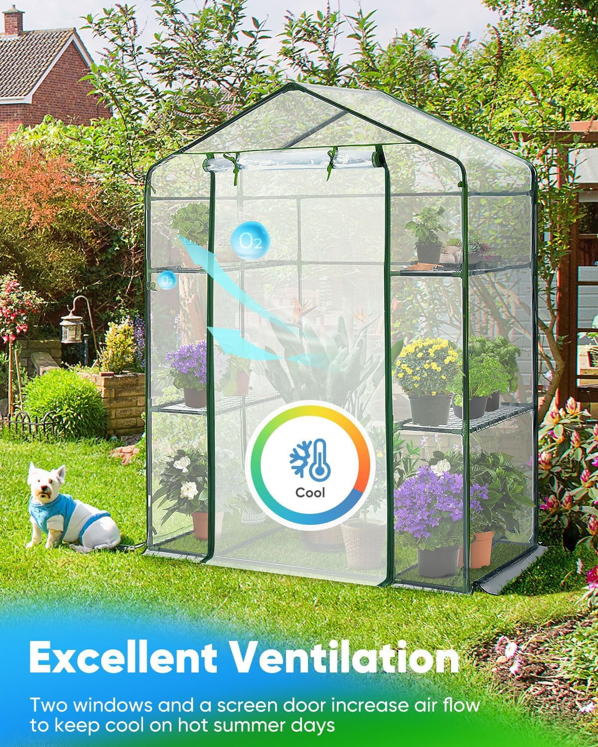 Quictent Clear 56"x29"x77" 3 Tiers 6 Shelves Portable Walk-in Mini Greenhouse Hot Green House Planter Gardening