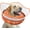 Orange, variant on Inflatable Dog Cone Collar to Prevent Licking, Soft Recovery Donut Collar for Dogs, Adjustable Post-Surgery Alternative for Dogs
