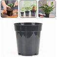 thumbnail image 4 of Transparent plastic plant pots for home and garden, set of 10, designed for various plant species (7.6 cm / 3 inches)., 4 of 5