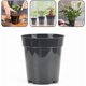 thumbnail image 4 of Transparent plastic plant pots for home and garden, set of 10, designed for various plant species (7.6 cm / 3 inches)., 4 of 5