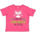 thumbnail image 3 of Inktastic Owl Be a Big Sister in 2026 Girls Toddler T-Shirt, 3 of 5
